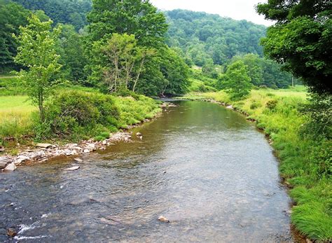 public creeks near me.